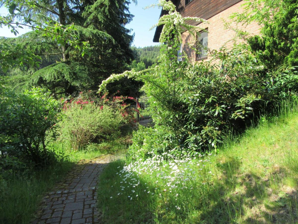 Ferienwohnung Hammergrund Mossautal Buitenkant foto