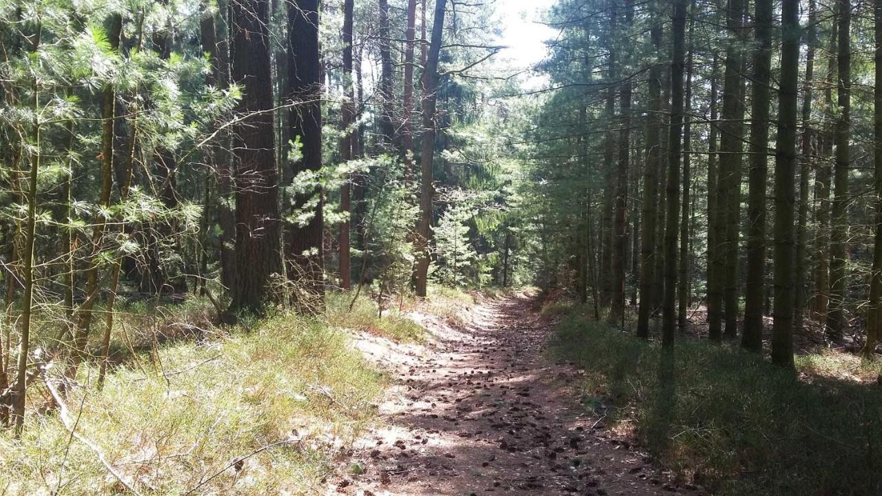 Ferienwohnung Hammergrund Mossautal Buitenkant foto